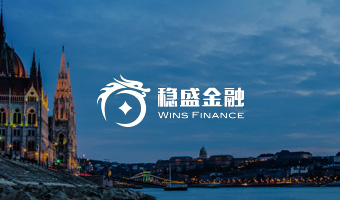 穩(wěn)勝金融控股集團(tuán)官網(wǎng)設(shè)計(jì)