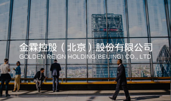 金霖控股官網設計