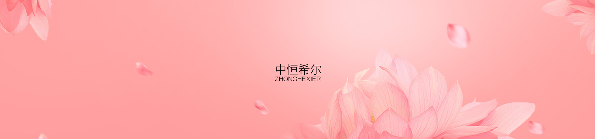 中恒希爾官網設計